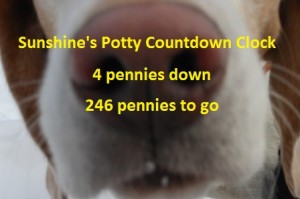 Sunshine's Potty Countdown Clock
